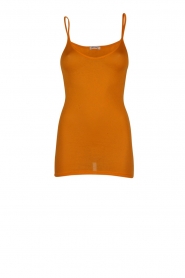  Top Lee | yellow ocher