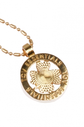 TOV ESSENTIALS |  Necklace Medaillon leaf small | light gold