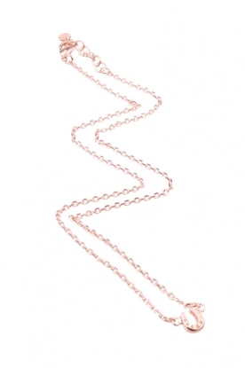 Necklace pendant horsefoot | rose
