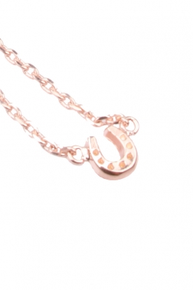 TOV ESSENTIALS |  Necklace pendant horsefoot | rose