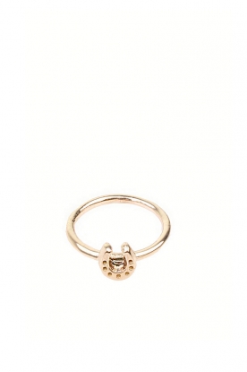 Ring pendant horsefoot | gold