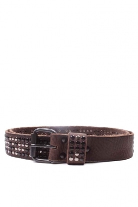 Leather belt 4-rows studs | dark brown