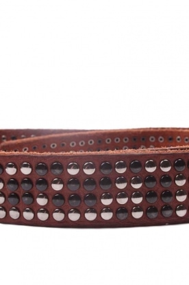 Martinica | Leather belt 4-rows studs | brown