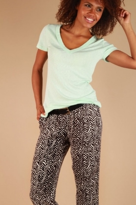 Michael Stars | T-shirt v-hals Jena | mint