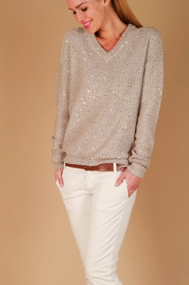 Not Shy |  Knitted sequin sweater | grey