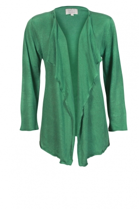 Linen cardigan Jila | green