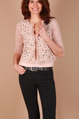 Pinko |  Sweater jacket Life | nude