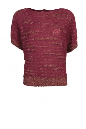 Sweater Maglia | bordeaux