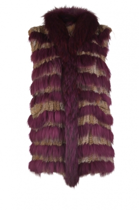 Gilet Hayworth | cassis/naturel