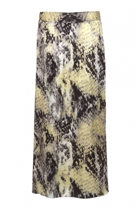 Silk skirt Gondola | Print