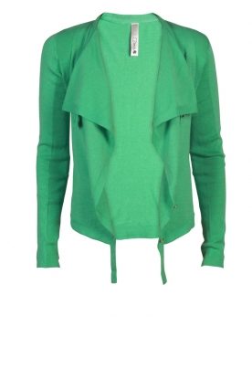 Cardigan Roulette | green