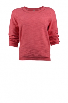  Knitted jumper | rose