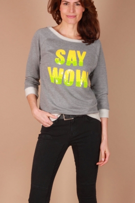 Essentiel Antwerp |  Sweater Eyi | grey