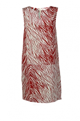 Dress Echo | Print