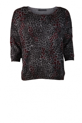 Sweater Rosa | multi