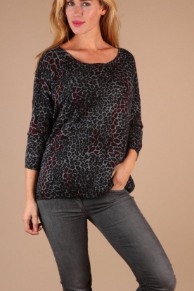 Set |  Sweater Rosa | multi