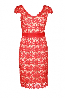 Dress Now | red Dress Now | red