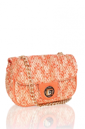 Pinko |  Shoulder Bag Borsetta | orange