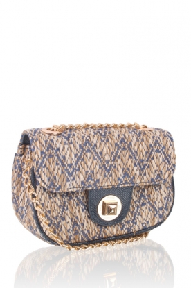 Pinko |  Shoulder Bag Borsetta | blue