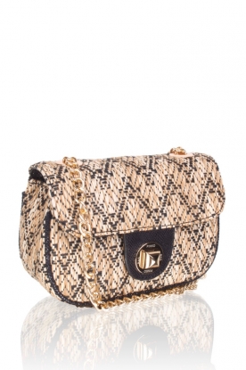 Pinko |  Shoulder Bag Borsetta | black/beige