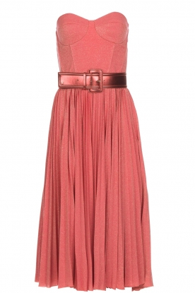 Elisabetta Franchi Strapless lurex jurk met beugel Phileine  roze