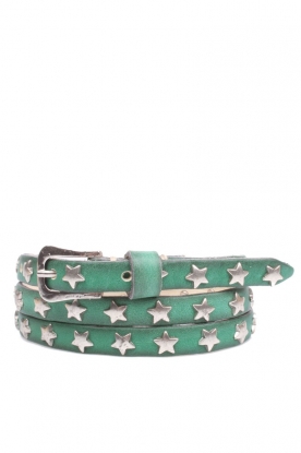 Belt Stars small | green