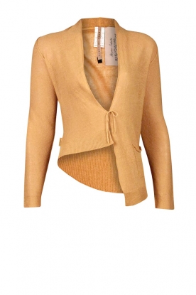 Cardigan Delicate | yellow