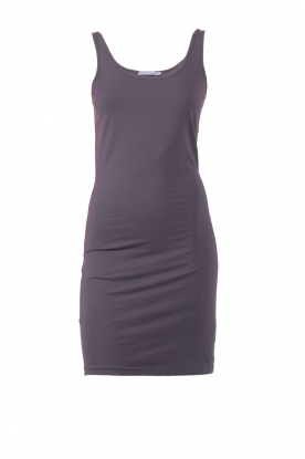 Basic dress Texel | purple grey