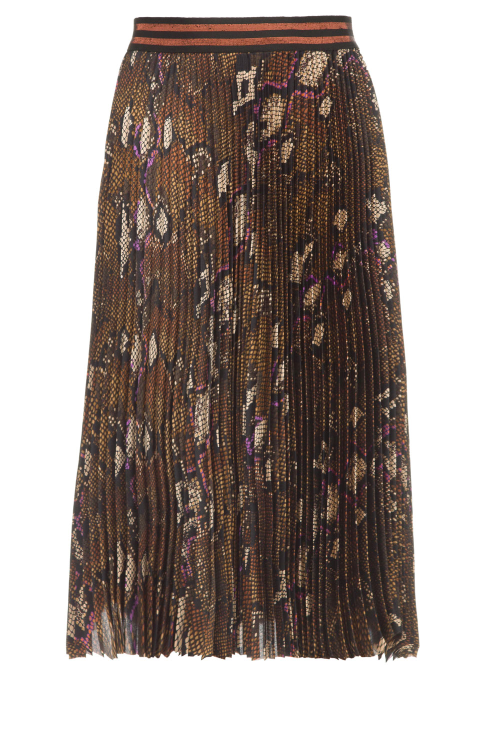 Plisse 2025 rok print