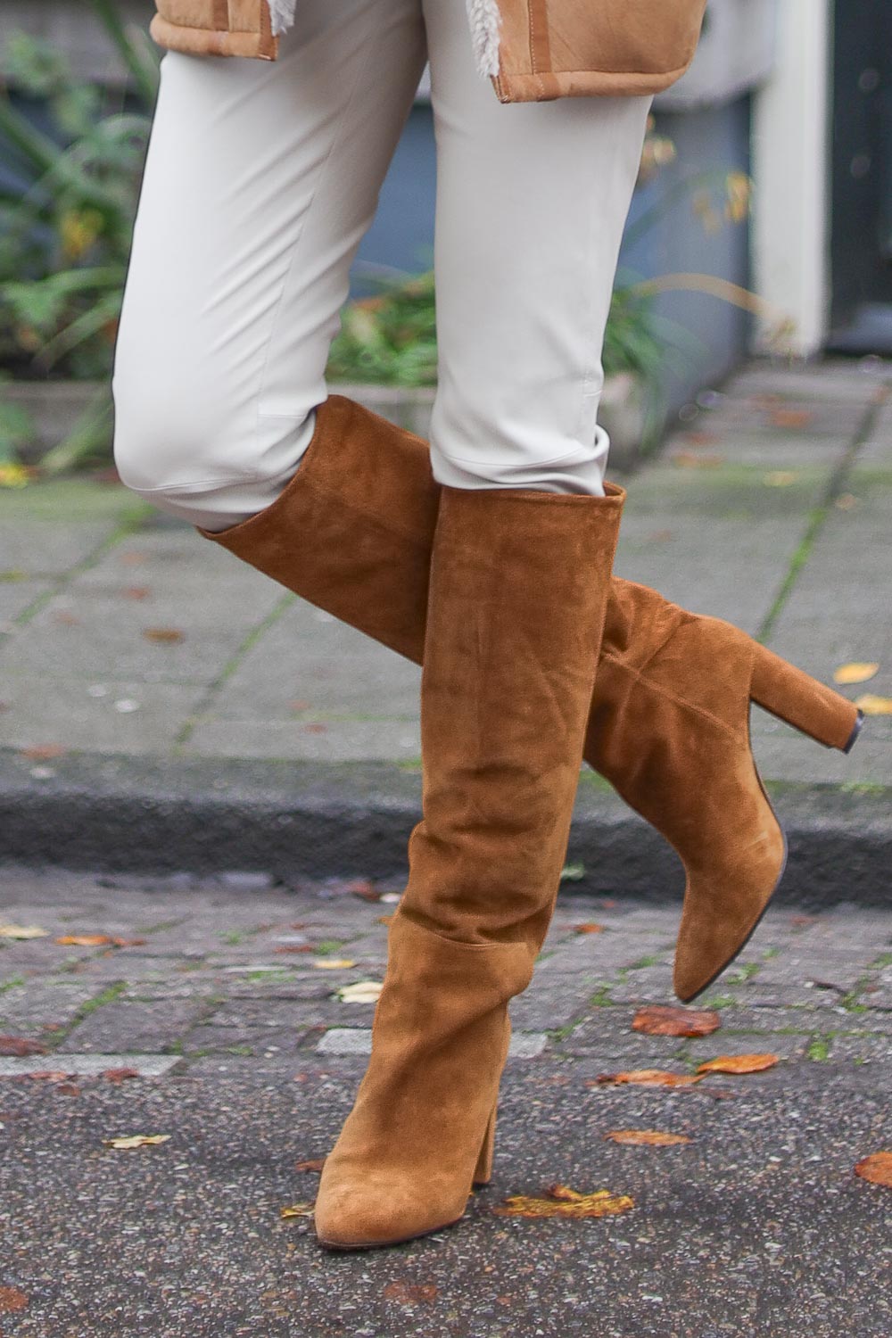 SSX2673 C.Nicolai #０１ & F.Leder #０２ Suède knielaarzen Sofia | cognac | Toral | Little Soho