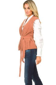 Dante 6 |  Knitted waistcoat Unga | camel  | Picture 6