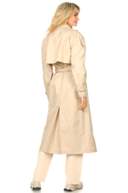 Dante 6 |  Water-repellent cotton trench coat Alistar | beige  | Picture 8