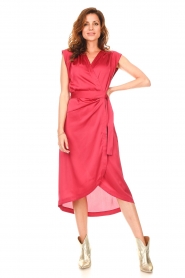 Dante 6 :  Wrap dress with waist belt Rouet | pink - img2
