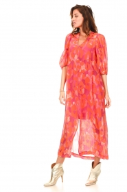 Dante 6 |  Maxi dress with print Abbaye | pink  | Picture 5