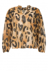 Dante 6 |  Top with animal print Cameron | black  | Picture 1