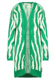 Silvian Heach |  Knitted cardigan with print Illisch | green  | Picture 1