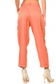 Silvian Heach :  Loose-fitting pants with shine effect Pidgeotto | Orange - img6