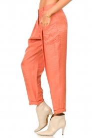 Silvian Heach :  Loose-fitting pants with shine effect Pidgeotto | Orange - img5