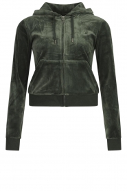 Juicy Couture |  Velour cardigan Robertson | dark moss  | Picture 1