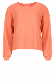 Blaumax |  Cotton sweater Ash | coral