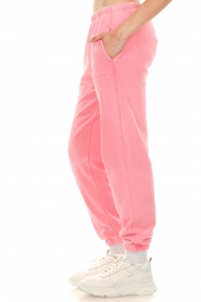 Dolly Sports |  Sweatpants Team Dolly Briar | pink  | Picture 6