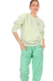 Dolly Sports |  Sweater Team Dolly Monica | green  | Picture 2