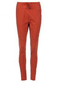 D-ETOILES CASIOPE | Travelwear broek met trekkoorden Guet | rood 