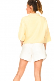 Dolly Sports |  Basic sweater with shirt collar William | yellow  | Picture 7