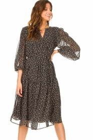JC Sophie |  Midi dress with print Juno | cobalt | Picture 4