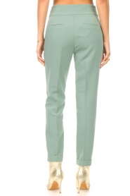 Aaiko |  Straight fit trousers Carene | green  | Picture 6