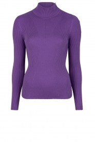 Dante 6 |  Ribbed turtleneck sweater Ophylin | purple  | Picture 1