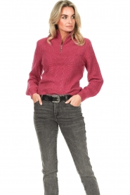 Dante 6 |  Knitted zip-up sweater Shalow | pink  | Picture 5