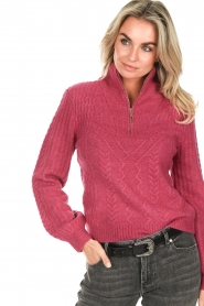 Dante 6 |  Knitted zip-up sweater Shalow | pink  | Picture 8