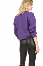 Dante 6 :  Logo sweater Jordan | purple - img7